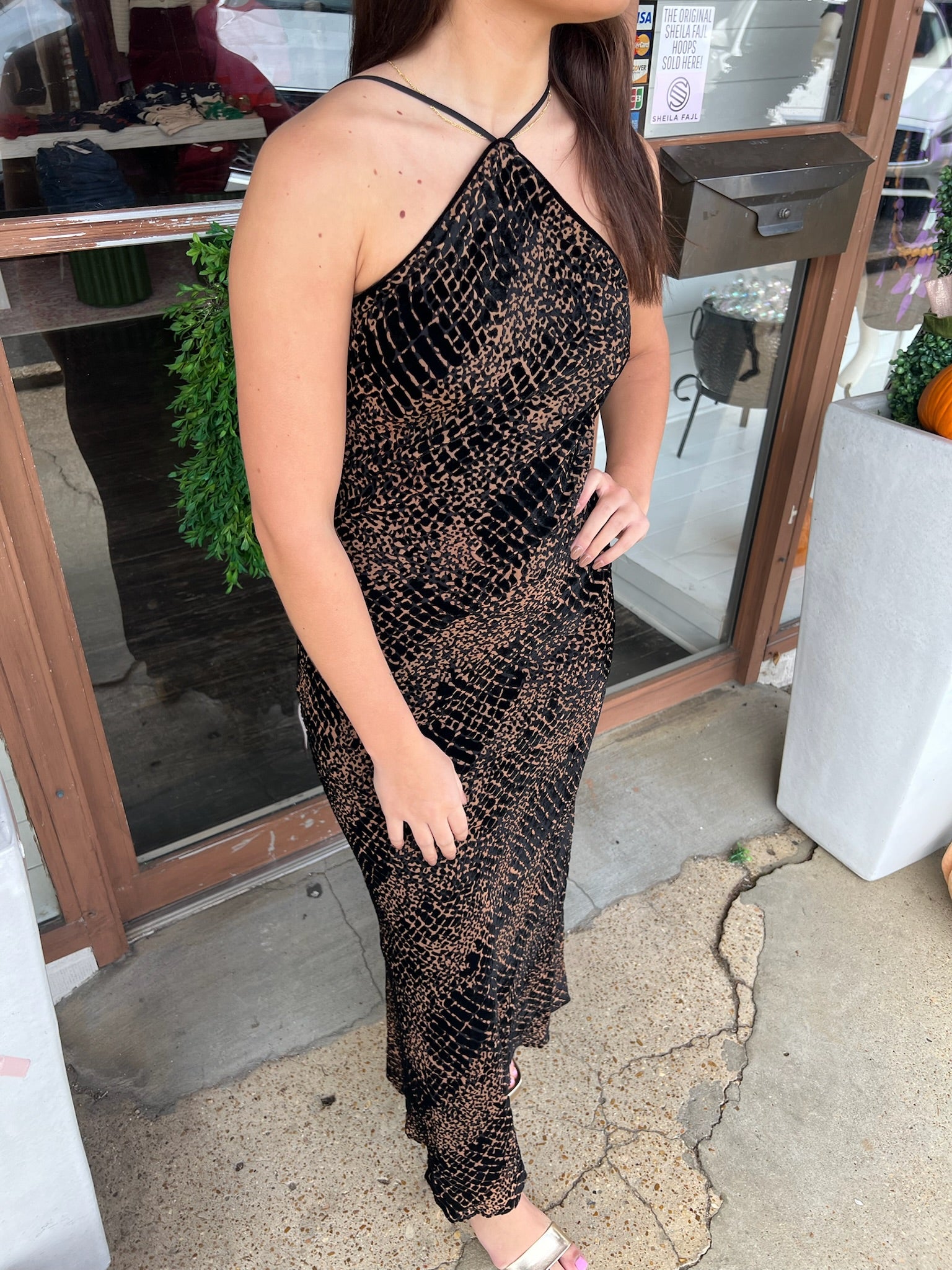 astr briotte dress in brown
