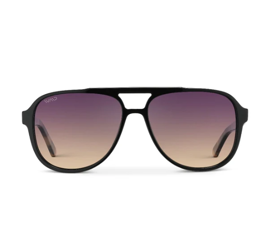 wmp eyewear indie in black cream tortoise
