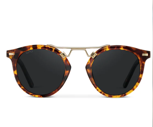 wmp eyewear skyler in tortoise