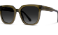 wmp eyewear wren in khaki crystal green