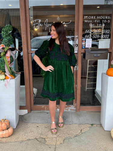 ivy jane velvet embroidered dress in evergreen