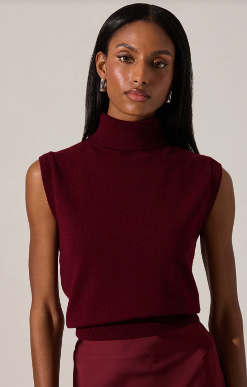 astr avah sweater in wine